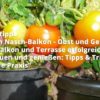 Mein Nasch-Balkon – Obst und Gemüse auf Balkon und Terrasse erfolgreich anbauen und genießen: Tipps & Tricks für die Praxis