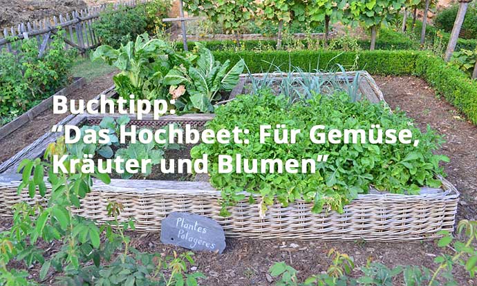 Das Hochbeet