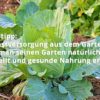 Selbstversorgung aus dem Garten: Wie man seinen Garten natürlich bestellt und gesunde Nahrung erntet