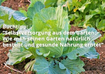 Selbstversorgung aus dem Garten: Wie man seinen Garten natürlich bestellt und gesunde Nahrung erntet