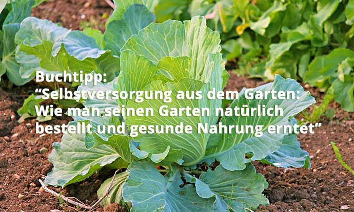 Selbstversorgung aus dem Garten