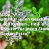 Kräuter für jeden Geschmack: Über 400 Küchen-, Heil- und Wildkräuter für jeden Standort (GU Garten Extra)