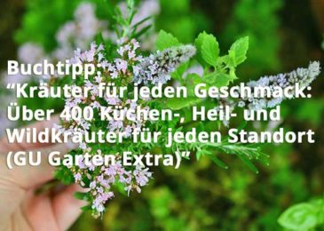 Kräuter für jeden Geschmack: Über 400 Küchen-, Heil- und Wildkräuter für jeden Standort (GU Garten Extra)
