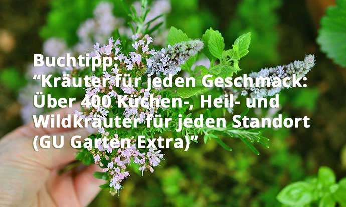 Kräuter für jeden Geschmack