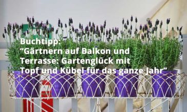 Gärtnern auf Balkon und Terrasse Gartenglück mit Topf und Kübel für