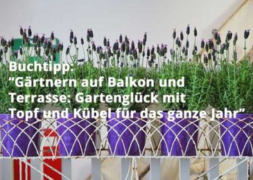 Gärtnern auf Balkon und Terrasse: Gartenglück mit Topf und Kübel für das ganze Jahr