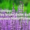 Was blüht denn da? (Kosmos-Naturführer)