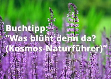 Was blüht denn da? (Kosmos-Naturführer)