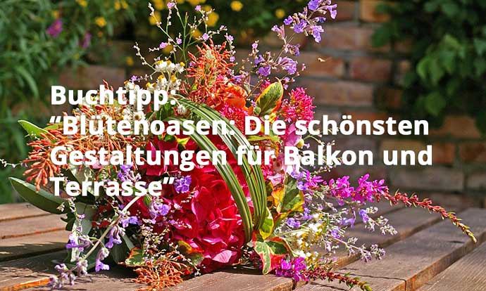 Blütenoasen