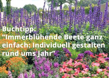 Immerblühende Beete ganz einfach: Individuell gestalten rund ums Jahr