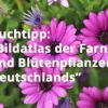 Bildatlas der Farn- und Blütenpflanzen Deutschlands