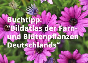 Bildatlas der Farn- und Blütenpflanzen Deutschlands