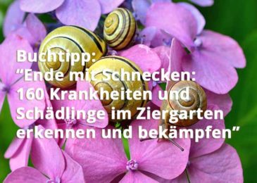 Ende mit Schnecken: 160 Krankheiten und Schädlinge im Ziergarten erkennen und bekämpfen