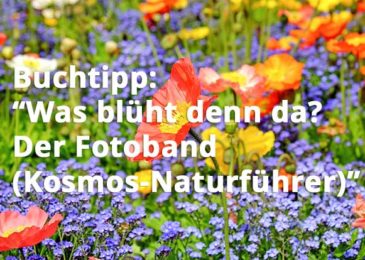 Was blüht denn da? Der Fotoband (Kosmos-Naturführer)