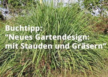 Neues Gartendesign: mit Stauden und Gräsern