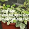 1200 Garten- und Zimmerpflanzen